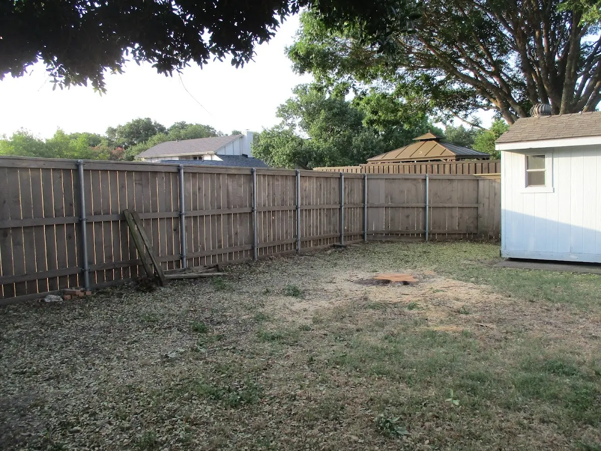 Cleared yard after professional tree removal in Elmira